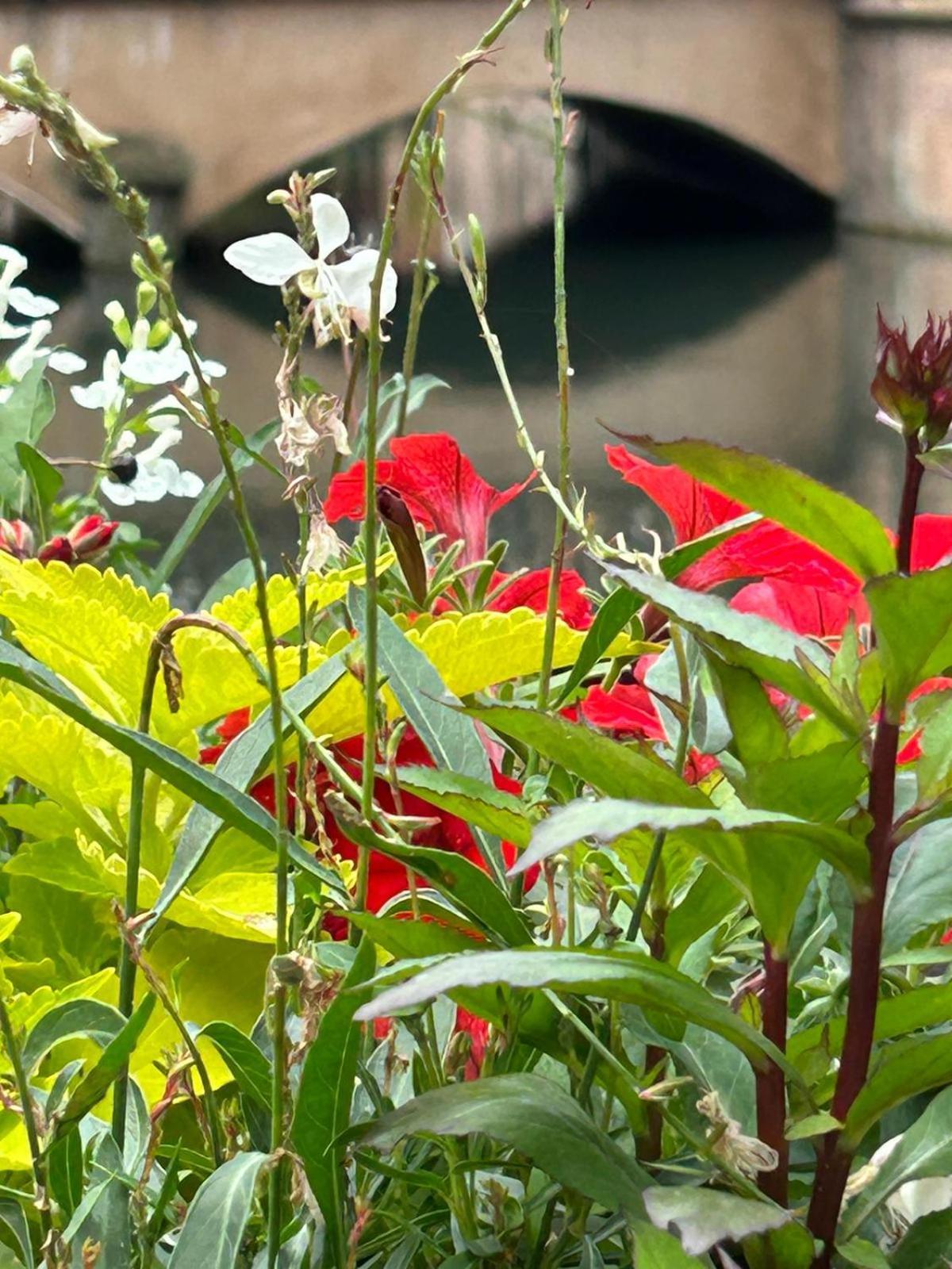 Fortschwihr Les Hortensias מראה חיצוני תמונה