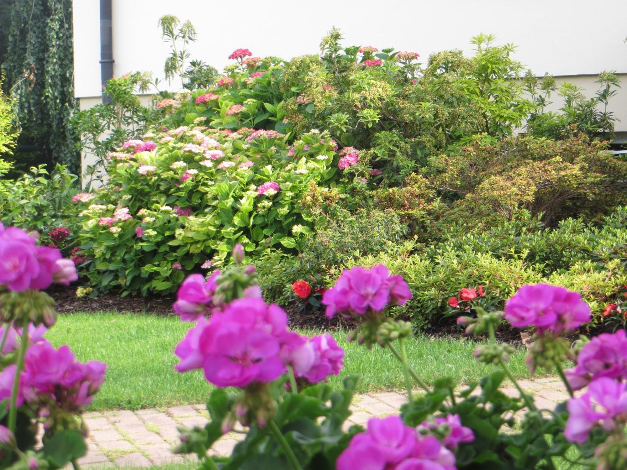 Fortschwihr Les Hortensias מראה חיצוני תמונה