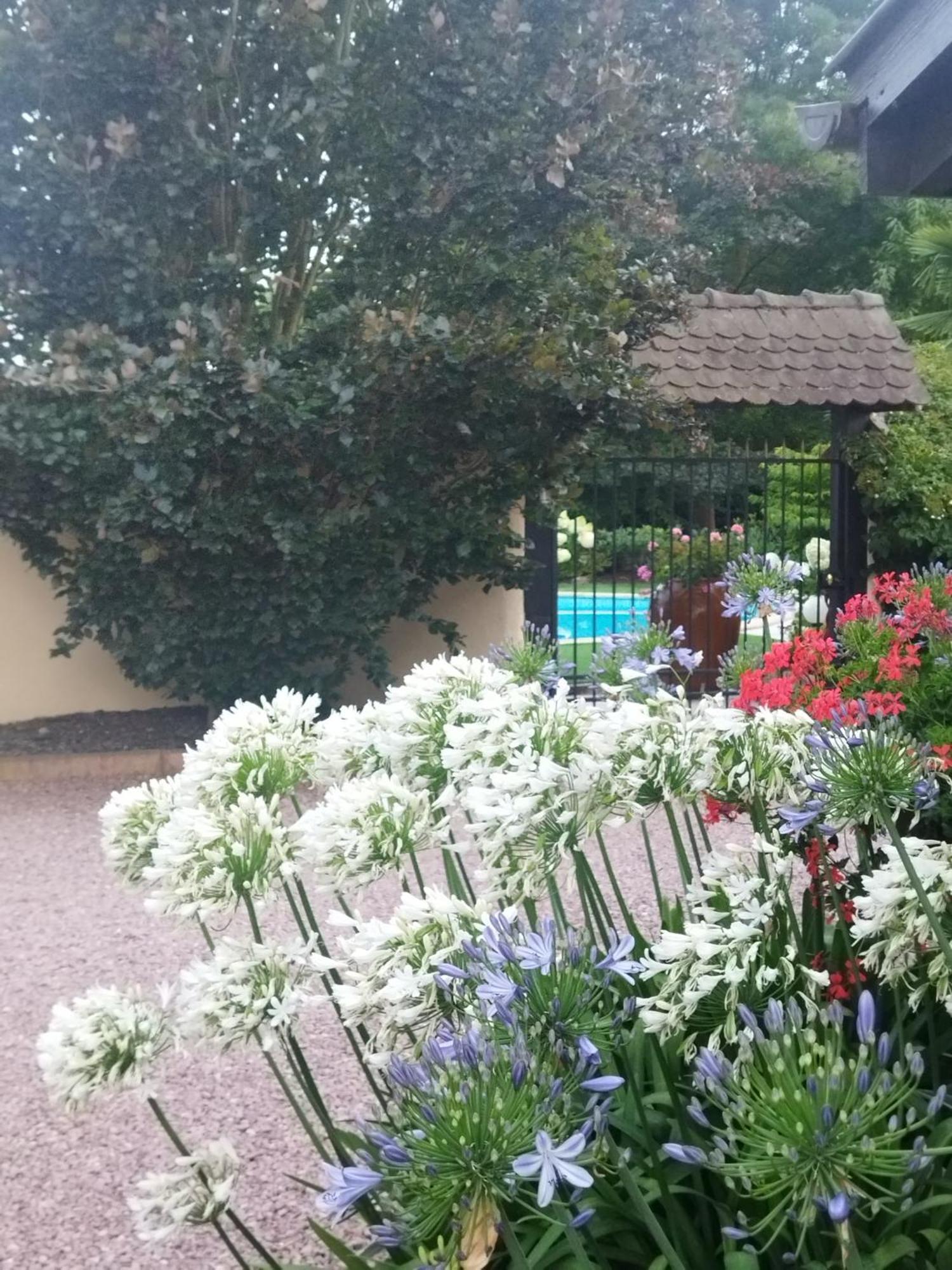 Fortschwihr Les Hortensias מראה חיצוני תמונה